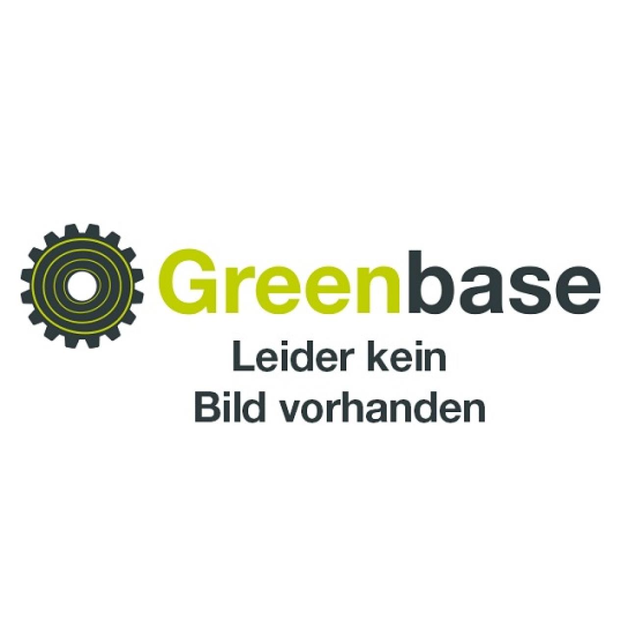 100000969_AS-Motor_Elektrostart_G06727305